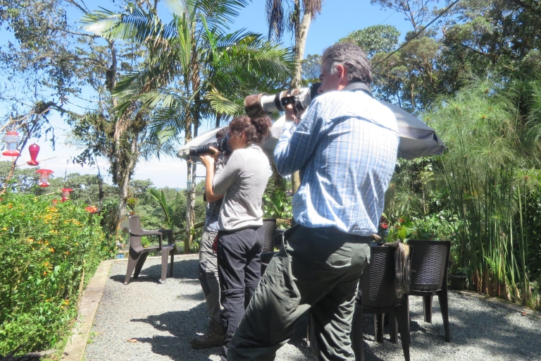 Birding Colombia: 8 dni ptasich cudów w Valle del CaucaCali Birdwatching: 8 dni ptasich cudów w dolinie Cauca