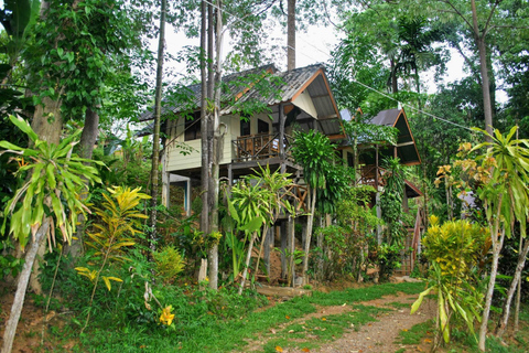 De Krabi: Safari de 1 dia em Khao Sok e Lago Cheow Lan de 2 dias