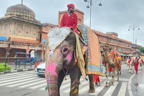 Jaipur: Elephant Encounter & Royal Sightseeing by Car Jaipur: Elephant Encounter & Royal Sightseeing by Tuk-Tuk