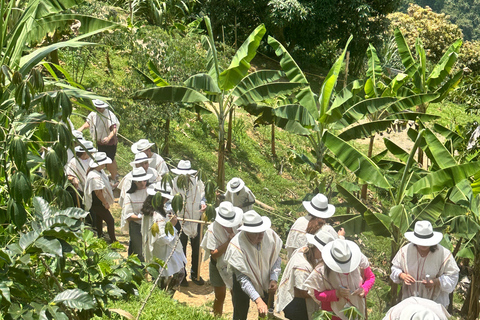Coffee and Exotic Fruit Tour from Medellín with Lunch Coffee and Exotic Fruit Tour from Medellín with Lunch.