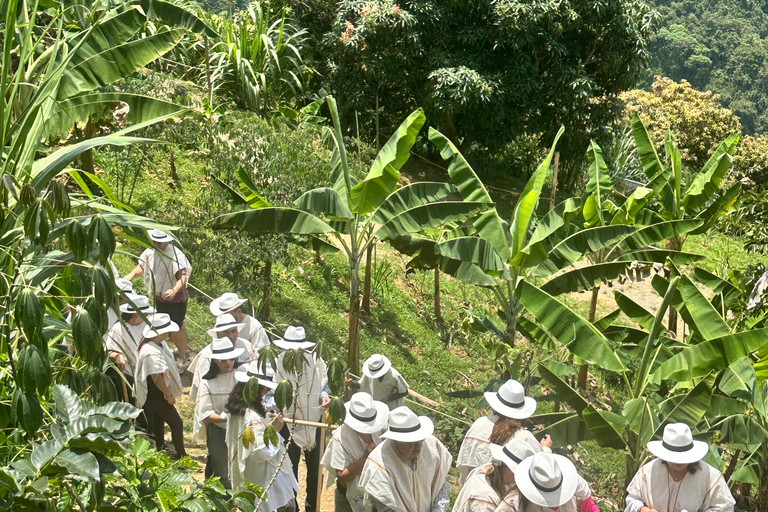 Coffee and Exotic Fruit Tour from Medellín with Lunch Coffee and Exotic Fruit Tour from Medellín with Lunch.