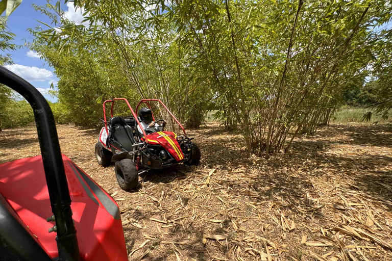 Bamboo Dune Buggy Tour