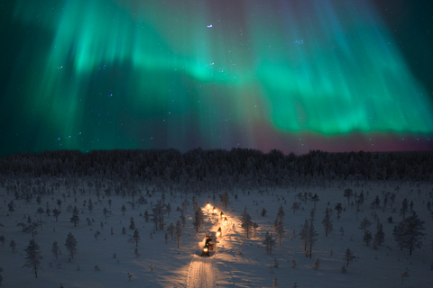 Levi: Aurora Hunting in Heated Sleigh Levi: Aurora Hunting, Sleigh ride