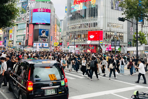 Tokyo City Highlights Tour With English Speaking Driver