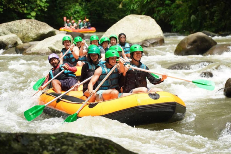 Ubud Adventure: Buggy Ride, Water Rafting, Coffee Plantation ubud; UTV buggy only without transportasi
