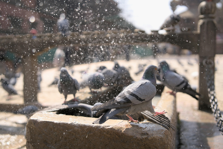 Kathmandu Valley: Patan & Bhaktapur Private Tour with Lunch