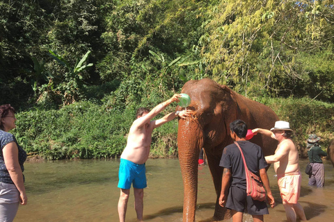 Chiang Mai: Doi Inthanon Park Vandring &amp; Elefanternas fristadChiang Mai: Doi Inthanon nationalpark &amp; elefanternas fristad