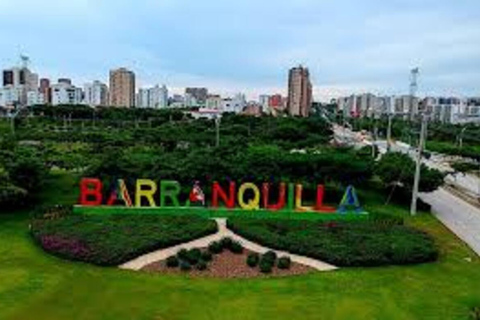 Check out the Mallorking Swamp Ecopark + the Magdalena River Mouth View of the Mallorking Ecopark + view of the Magdalena River mouth