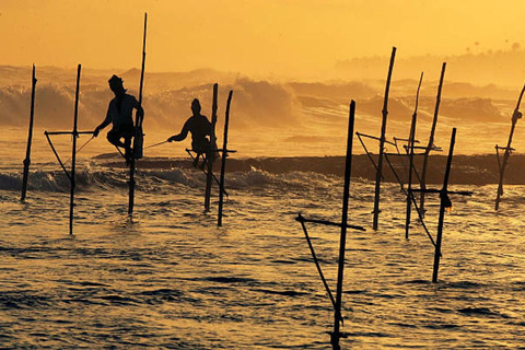 Passeio de um dia por Galle a partir de Colombo, Bentota ou Kalutara