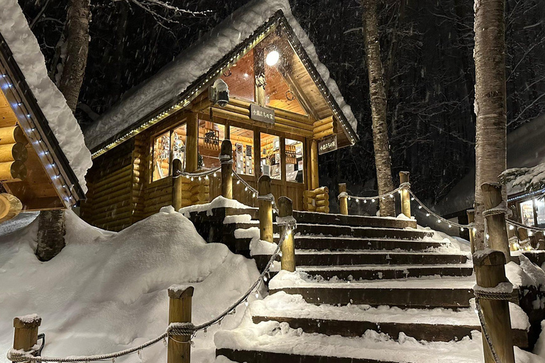 Asahikawa,Biei and Furano Wonderland day Tour in small group Itinerary C: Fairy Terrace Illumination Exclusive Tour