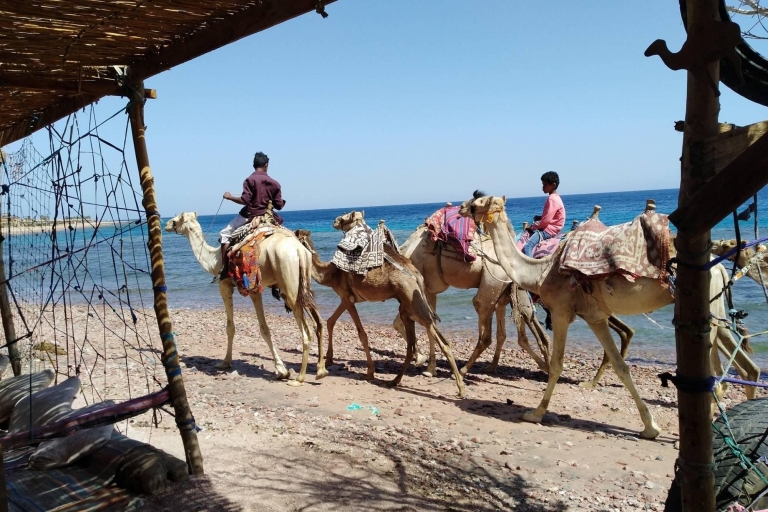 Sharm El Sheikh: Czerwony Kanion, Dahab i Quad wzdłuż morza