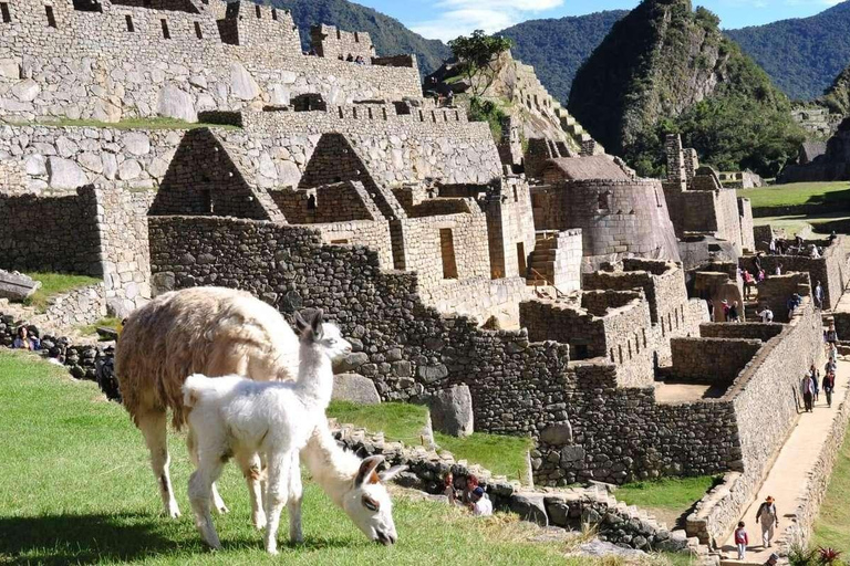 Cusco &amp; Machu Picchu: 3 Tage Tour Paket