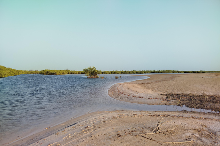 Saloum Delta: 3 days of adventure in the middle of nature, camping on a desert island Saloum Delta: Camping and Adventure