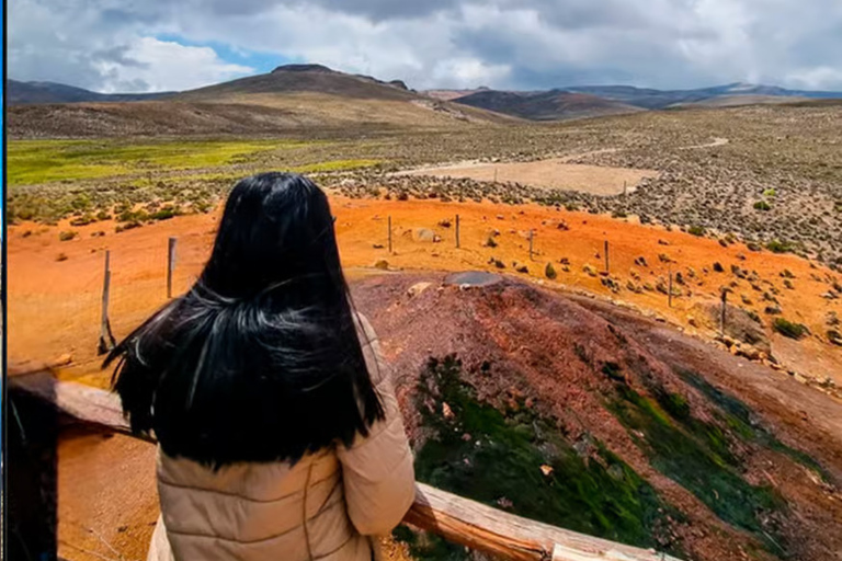 Arequipa: Salinas 2026 Tour – Wetlands, Flora, Fauna, and Volcanic Views