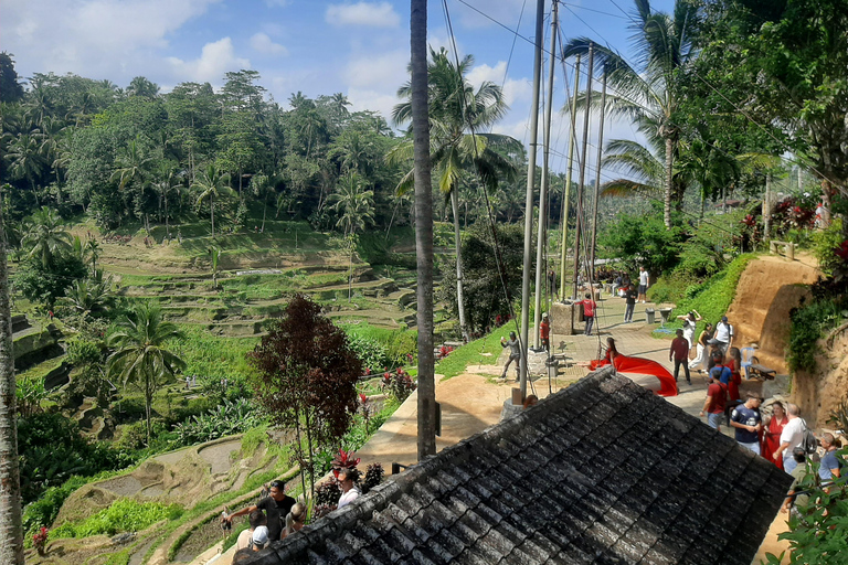 Ubud: Foresta di scimmie, terrazze di riso e cascateUbud: Foresta di scimmie, terrazza di riso e cascata