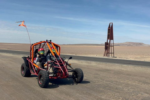 Paracas: Ballestas Islands Boat Tour & Mini Buggy Ride