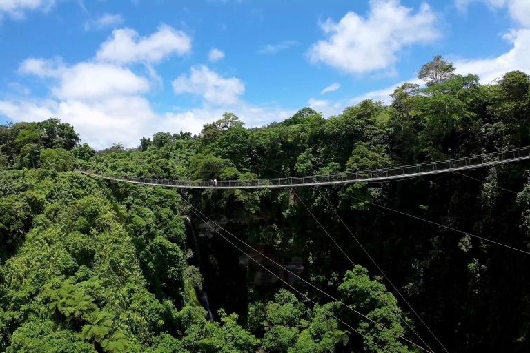 Port Vila: Dschungelwanderung und Hängebrücke SkyBridge