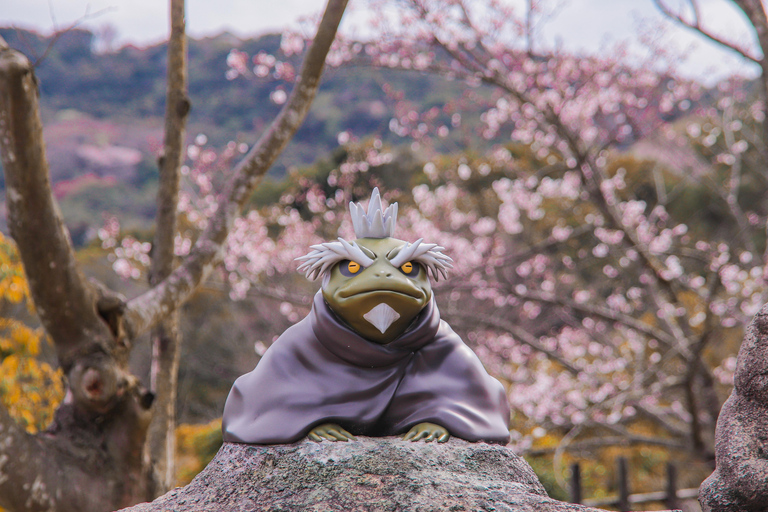 Naruto & Boruto Theme Park Entry Ticket Naruto & Boruto Theme Park Entry Ticket : Light