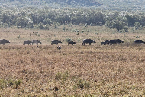 Nairobi: Hell's Gate National Park and Lake Naivasha Tour