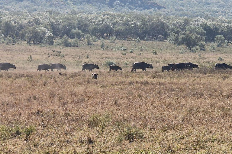 Nairobi: Hell's Gate National Park and Lake Naivasha Tour