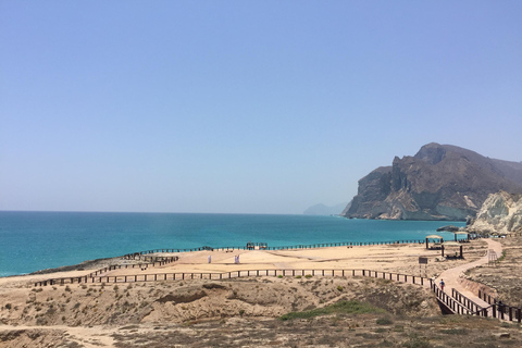 塞拉莱：乳香之路、骆驼农场和海滩之旅