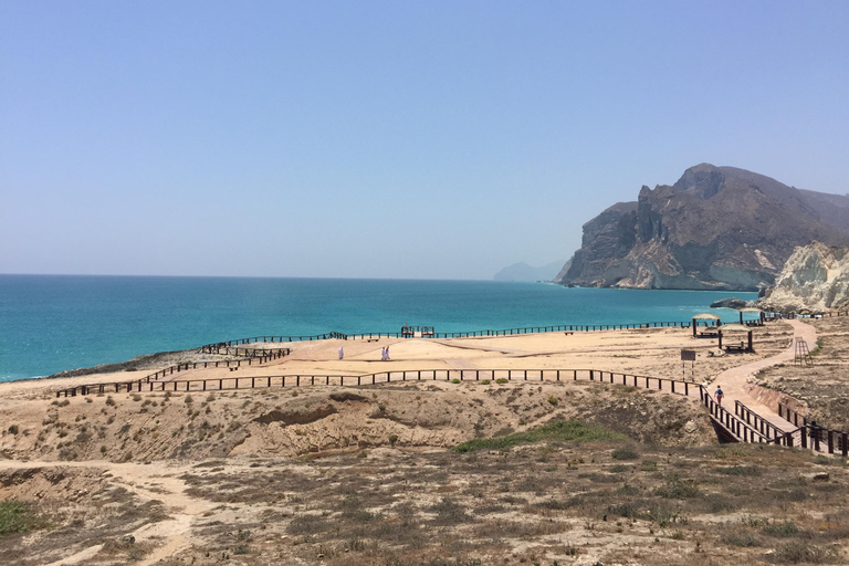 塞拉莱：乳香之路、骆驼农场和海滩之旅