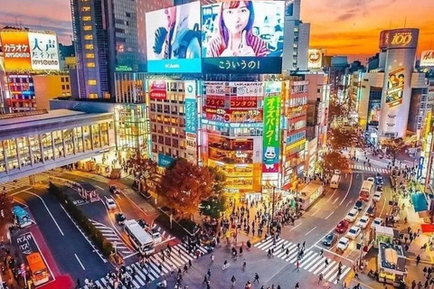 Tokyo Full Day Private Sightseeing Tour with English Driver