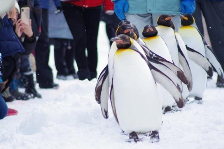 Sapporo: Asahiyama Zoo and Blue Pond Day Trip