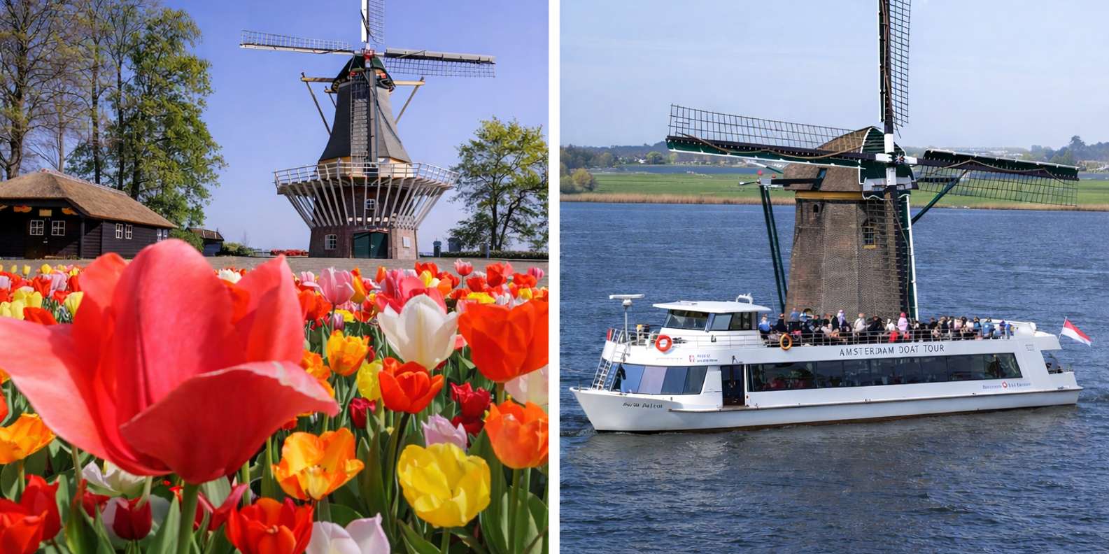 Amsterdam: Tour to Keukenhof Gardens with Windmill Cruise