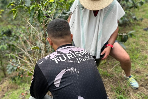 From Medellín: Coffee Farm Hiking & Exotic Fruit Marketplace