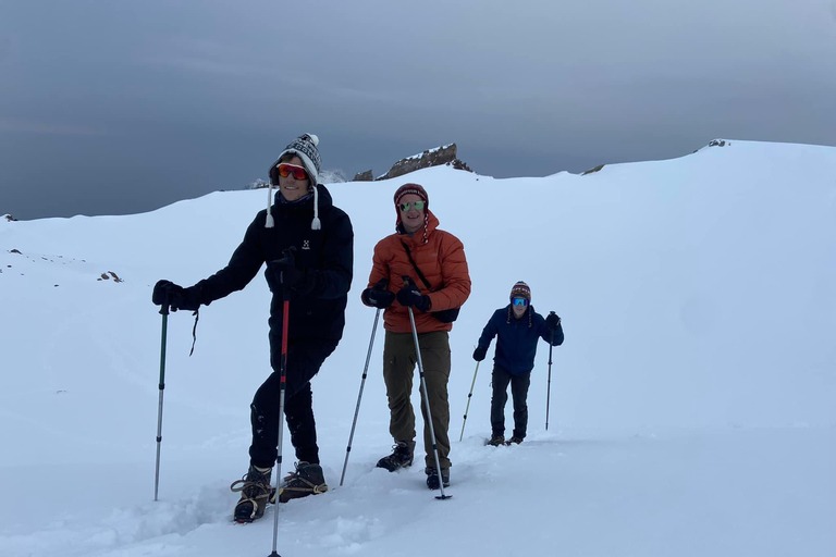 Arequipa: Escale o cume do vulcão Chachani em um dia inteiroArequipa: Escalada de dia inteiro ao cume do vulcão Chachani