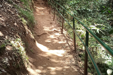 La forêt de Karura : Une visite à pied dans l'oasis naturelle de Nairobi