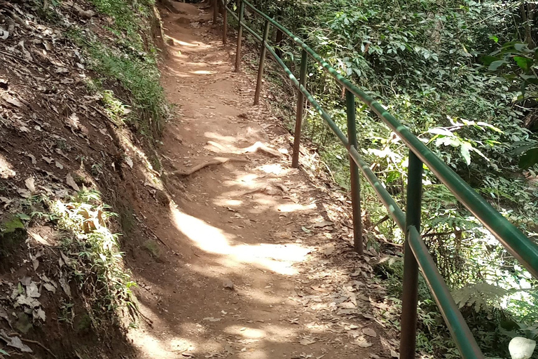 Bosque de Karura: Un recorrido a pie por el Oasis Natural de Nairobi