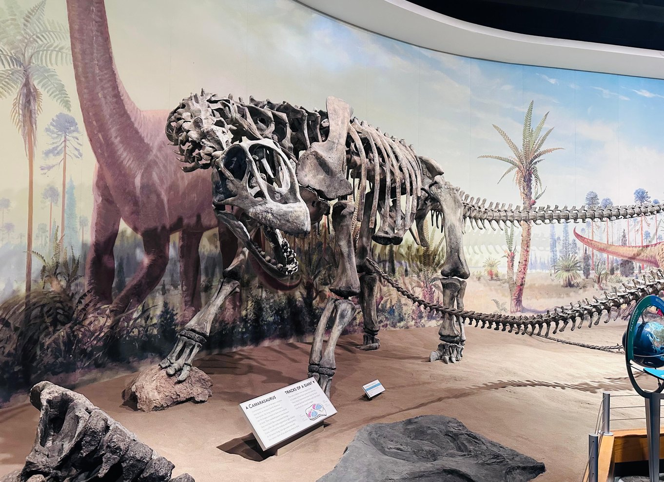Badlands-tur: Drumheller med museum, hoodoos og dinosaurer
