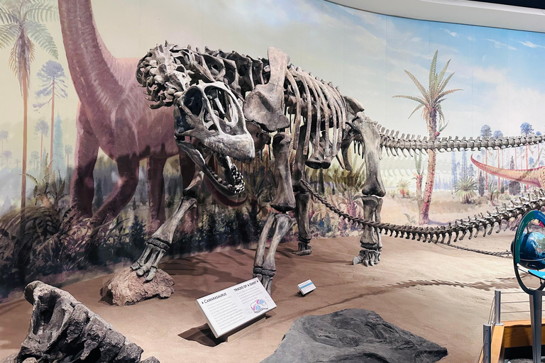 Badlands Tour: Drumheller with Museum, Hoodoos & Dinosaurs Booking Option for Summer 2026