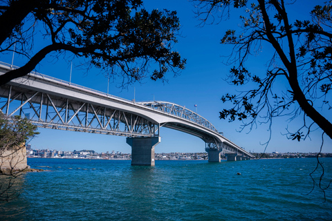 Auckland: Scenic Highlights Tour with Ferry Ride