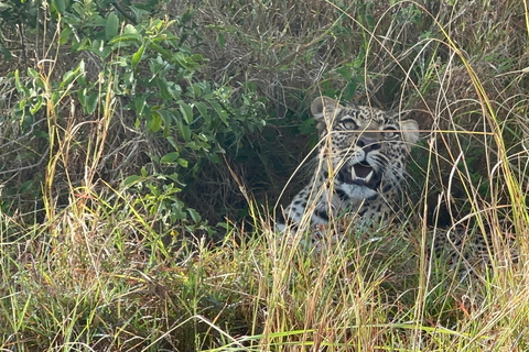 7 Day Rwanda Uganda Culture and Primate Safari Adventure