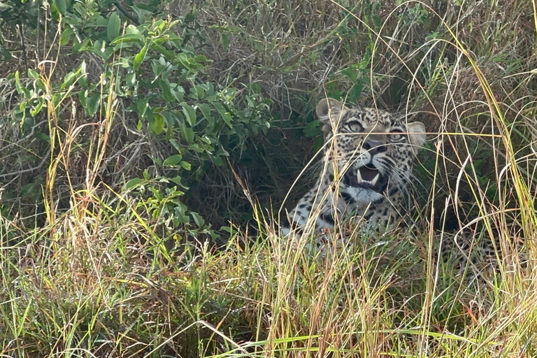 7 Day Rwanda Uganda Culture and Primate Safari Adventure