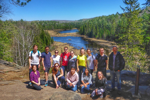 Randonnée dans le parc Algonquin : Circuit d'aventure au départ de TorontoRandonnée dans le parc Algonquin