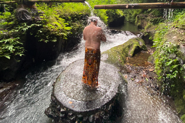 Bali: Tour del villaggio di Taro e del tempio dell&#039;acqua di sorgente sacraTour del Tempio dell&#039;Acqua Santa con trasporto da Ubud