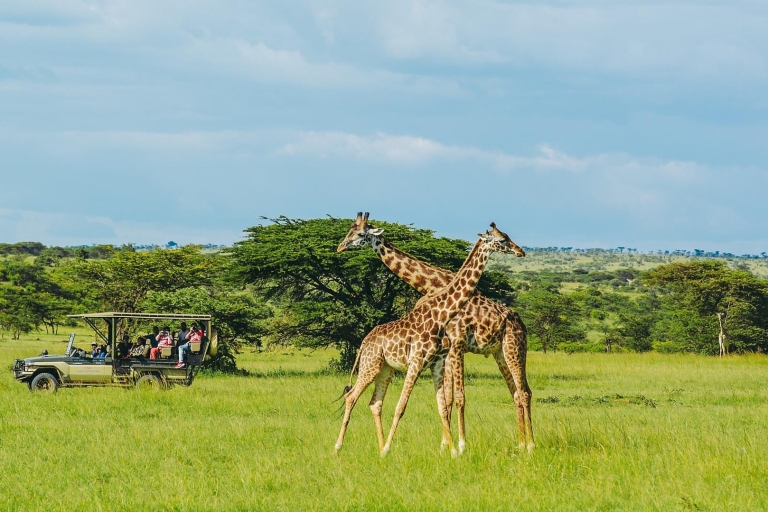Escale à l'aéroport de Nairobi : Visite du parc national de Nairobi - 4 heures