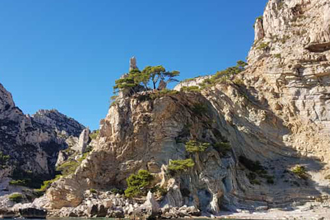 Marsiglia: Parco Nazionale delle Calanques Barca ecologica ...