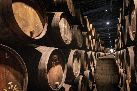 Discover Paracas, Ica and Nasca in a 2 days and 1 night trip ICA - PARACAS NASCA 2 DIAS