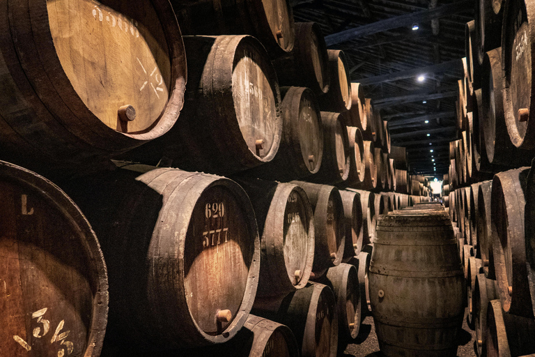 Discover Paracas, Ica and Nasca in a 2 days and 1 night trip ICA - PARACAS NASCA 2 DIAS