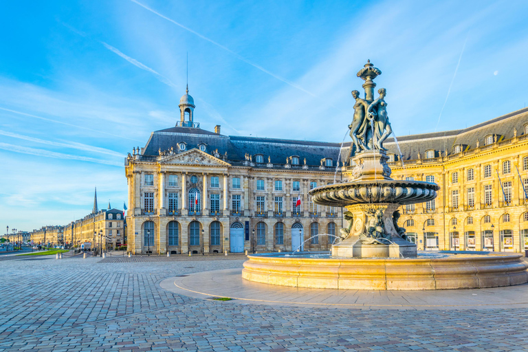 Z portu wycieczkowego Le Verdon: Wycieczka z przewodnikiem po Bordeaux7-godzinna wycieczka z przewodnikiem do Bordeaux