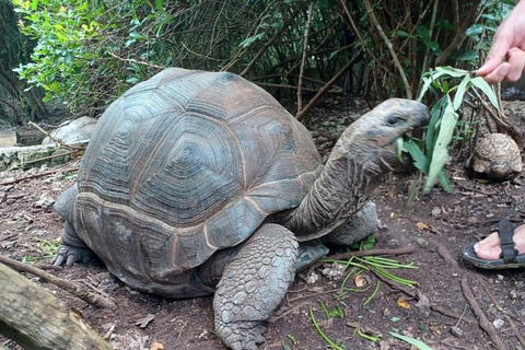 Zanzibar: Nungwi kilosa Conservation zoo half day tour Private tour for the gusts from Nungwi only