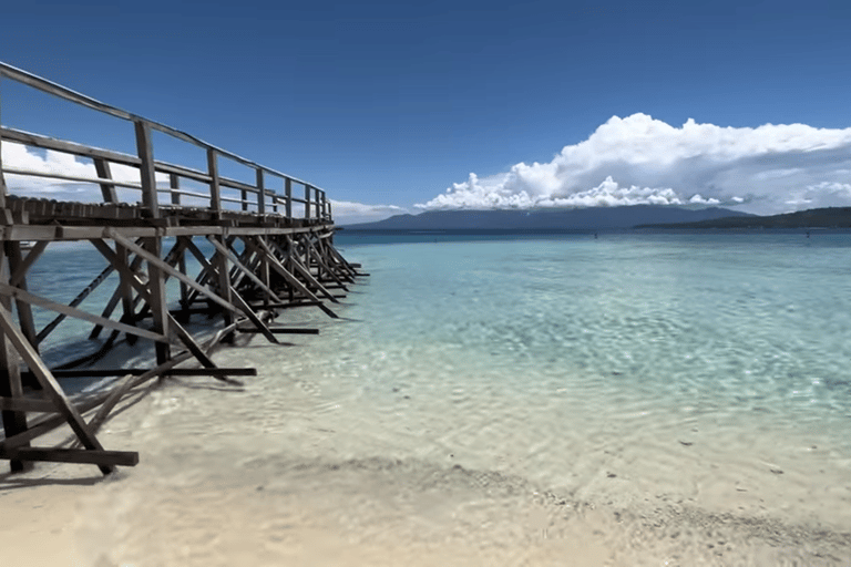 Oslob: Whale Sharks, Tumalog Falls & Sumilon Trio Adventure