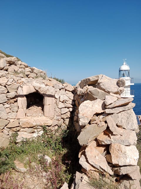 Discover the Island Dragonera by kayak and on foot - Housity