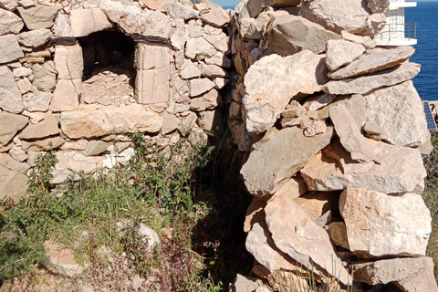 Discover the Island Dragonera by kayak and on foot