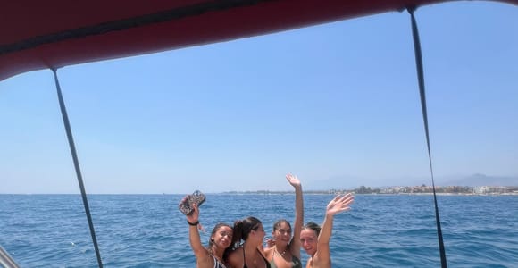 Puerto Banús: Private Cruise with Dolphins & Wakeboard